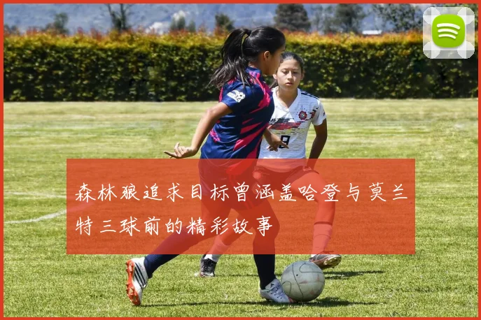 森林狼追求目标曾涵盖哈登与莫兰特三球前的精彩故事