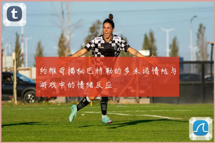 约维奇揭秘巴特勒的多米诺情结与游戏中的情绪反应
