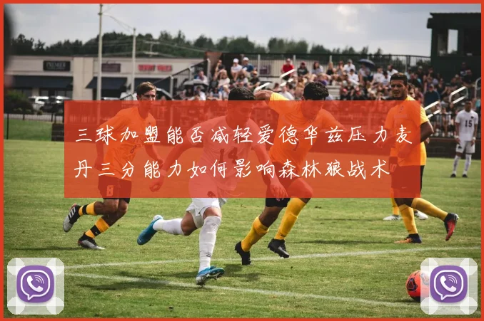 三球加盟能否减轻爱德华兹压力麦丹三分能力如何影响森林狼战术