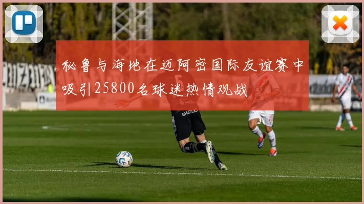 秘鲁与海地在迈阿密国际友谊赛中吸引25800名球迷热情观战